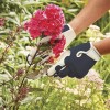 Briers Smart Gardening Gloves