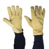 Polyco Daytona Drivers Style Leather Gloves DR100