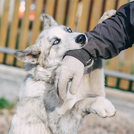 Aggressive Dog Handling Gloves