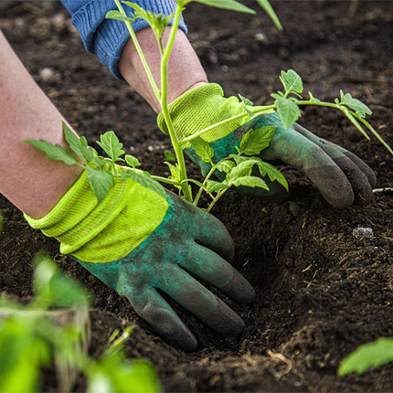 All Gardening Gloves