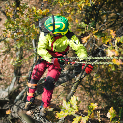 Arborist Gloves