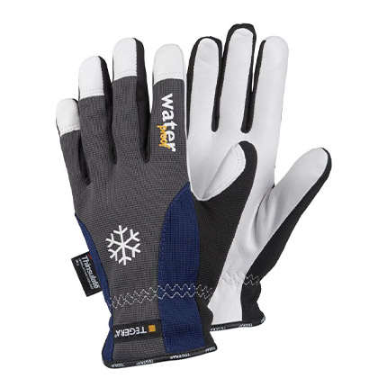 Ejendals Thermal Gloves
