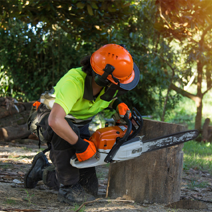 Forestry Chainsaw Gloves