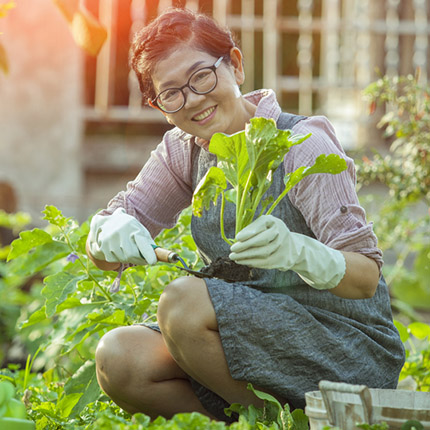 Gardening Sleeves