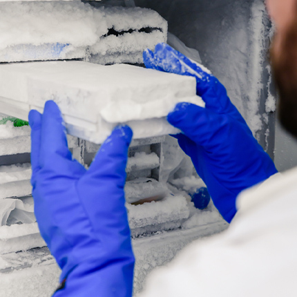 Heavy duty 2025 freezer gloves