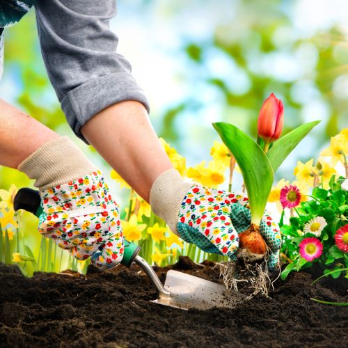 Best Gardening Gloves 2024